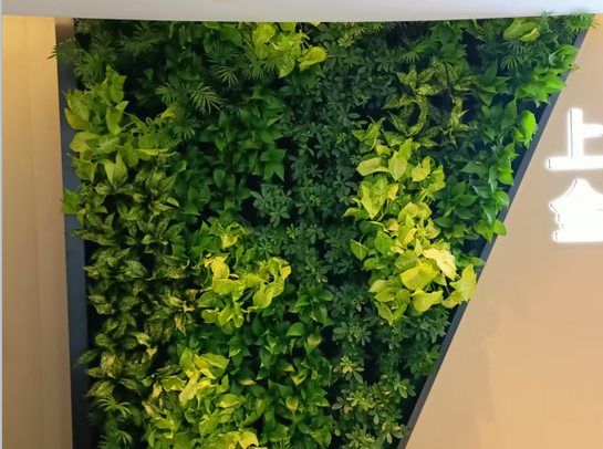 金山供销社室内植物墙（自循环系统）