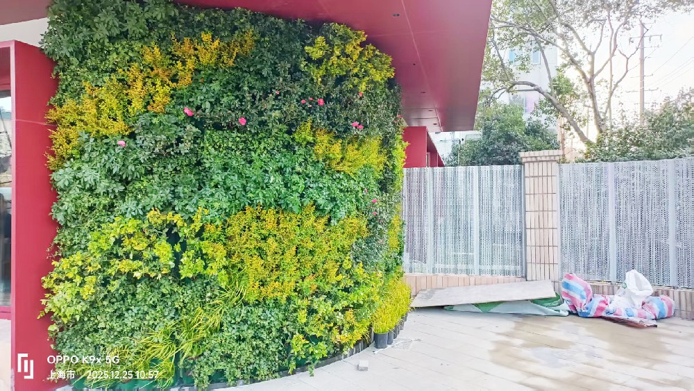 华灵路908号室外曲面植物墙