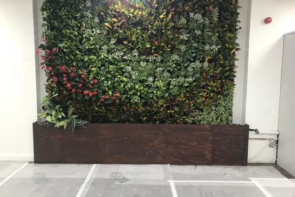 上海禹强办公室植物墙自循环系统