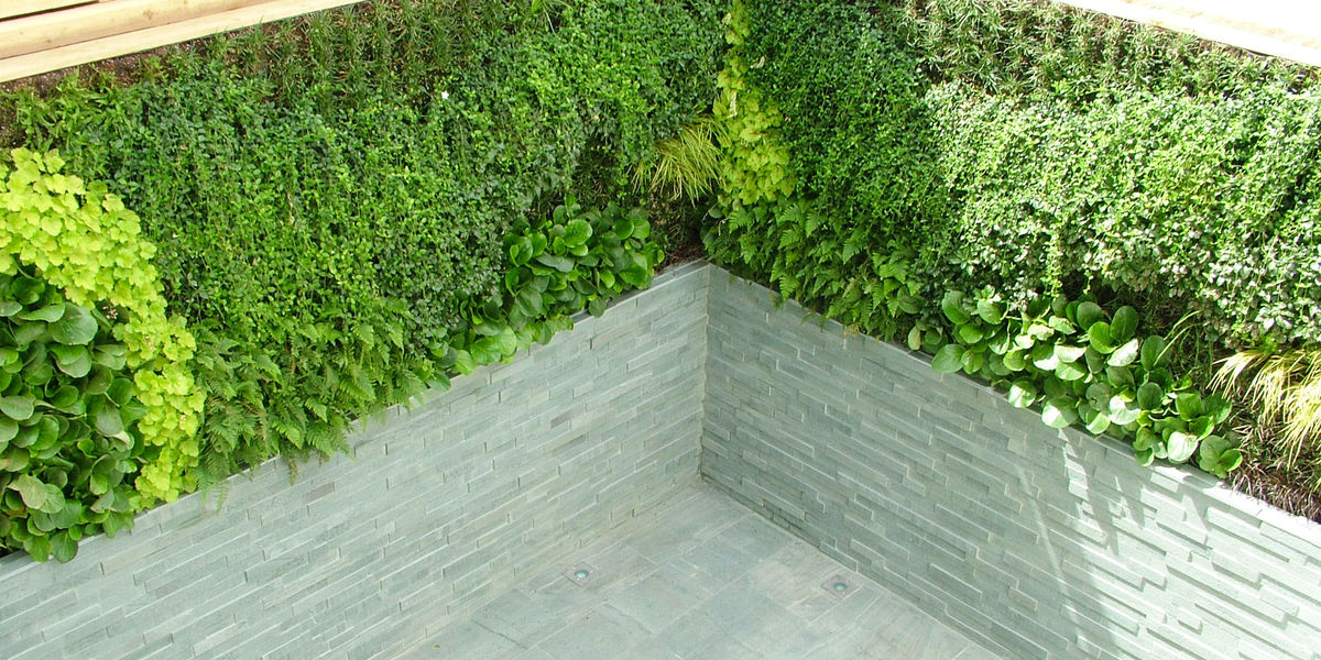 Brammerton_Terrace_main.jpg