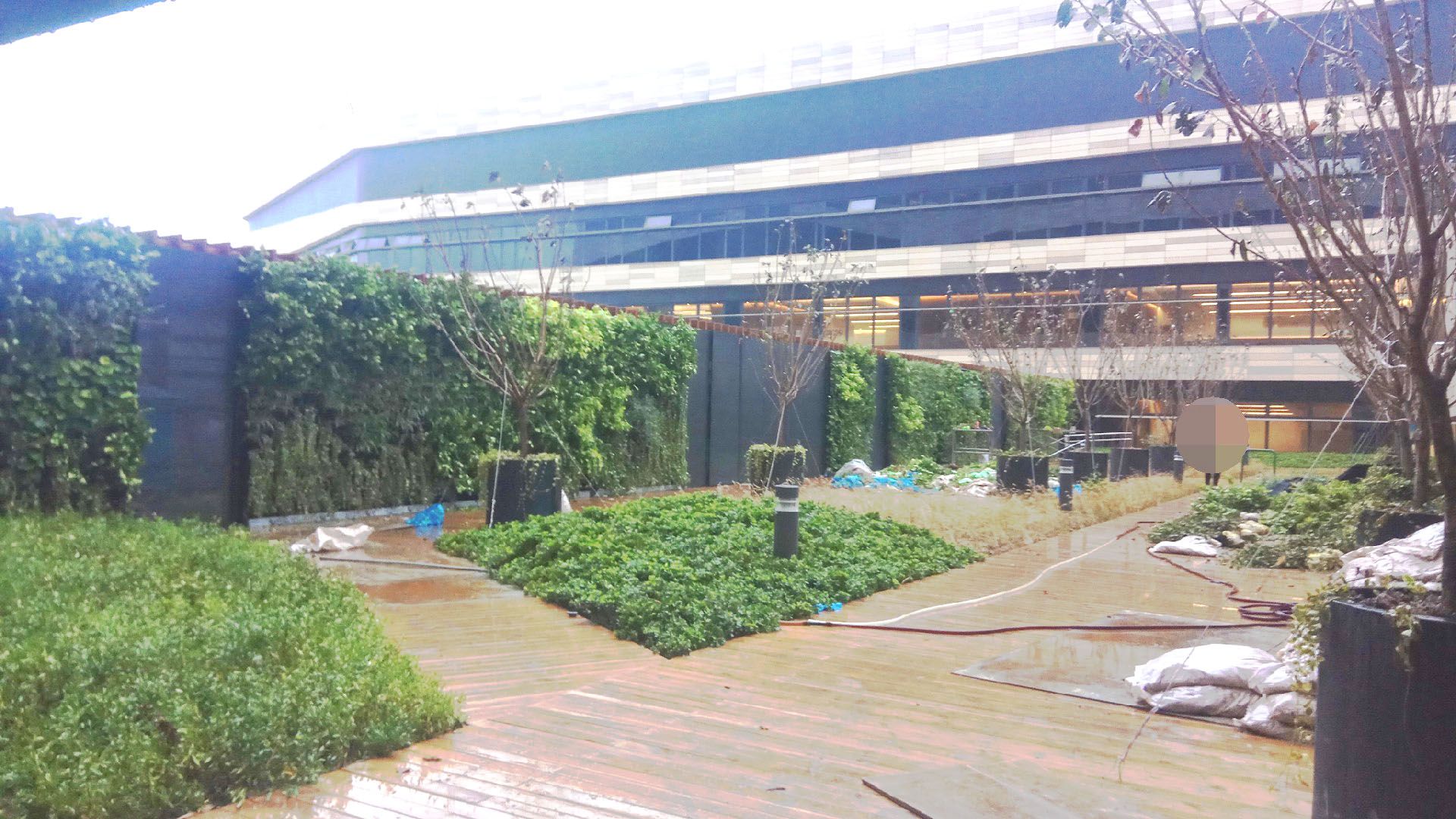 1654673718151572 拷贝.jpg
