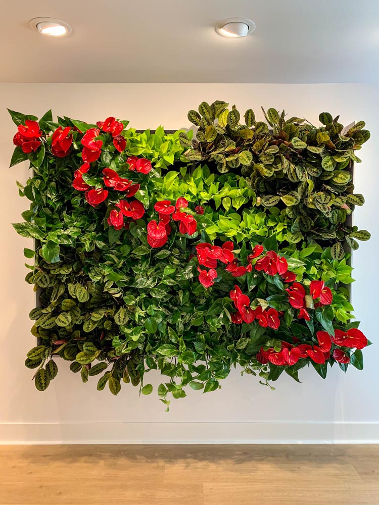 Living-Wall-2-Ombu-Salon.jpg