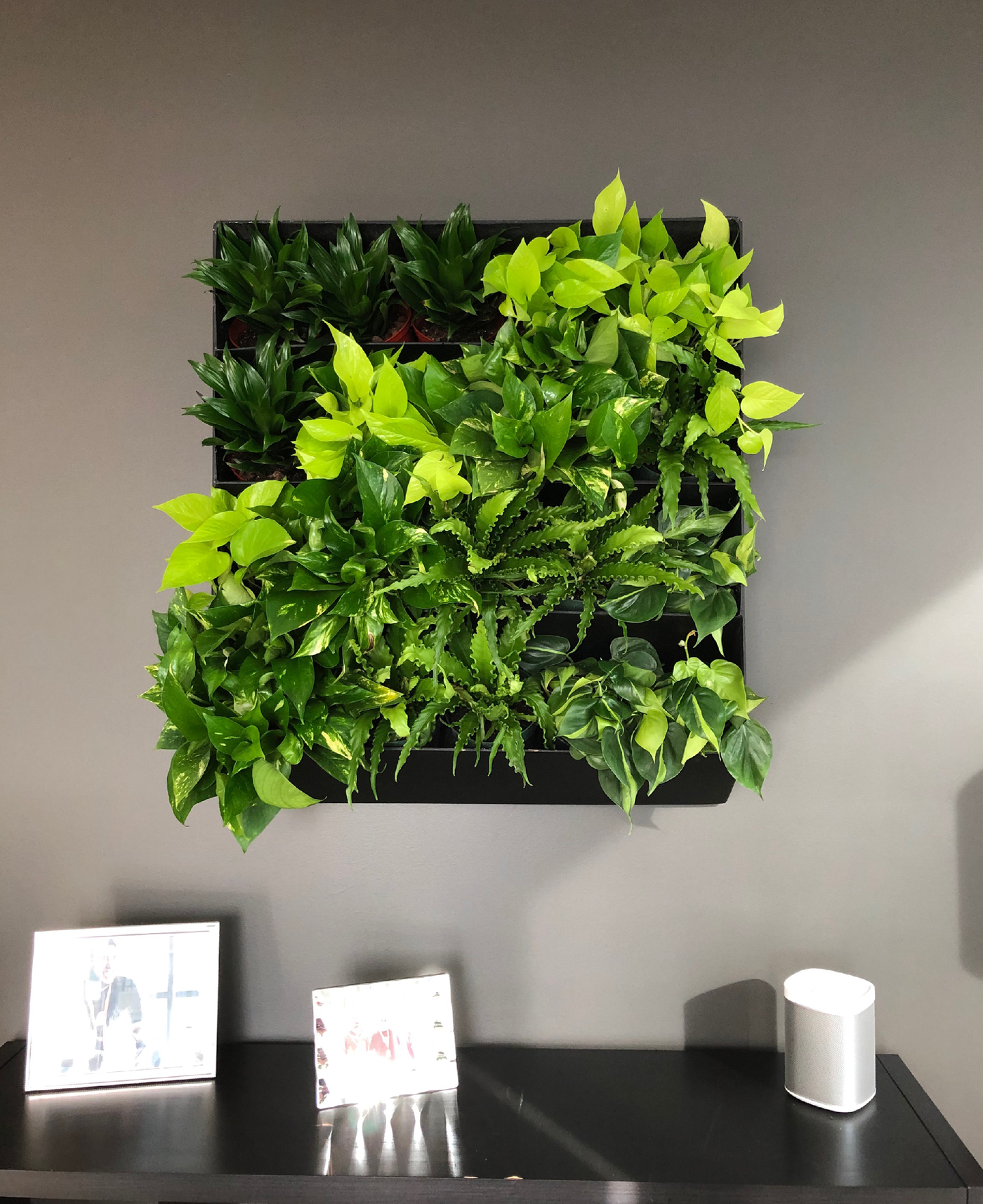 1748473385860365.png 1748473385860365.png