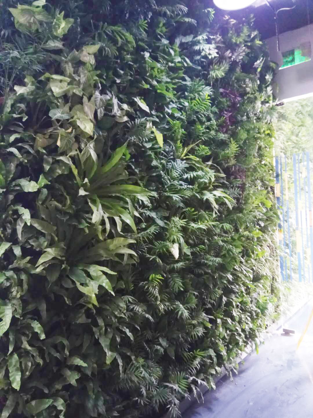 15538432468594130.jpg
