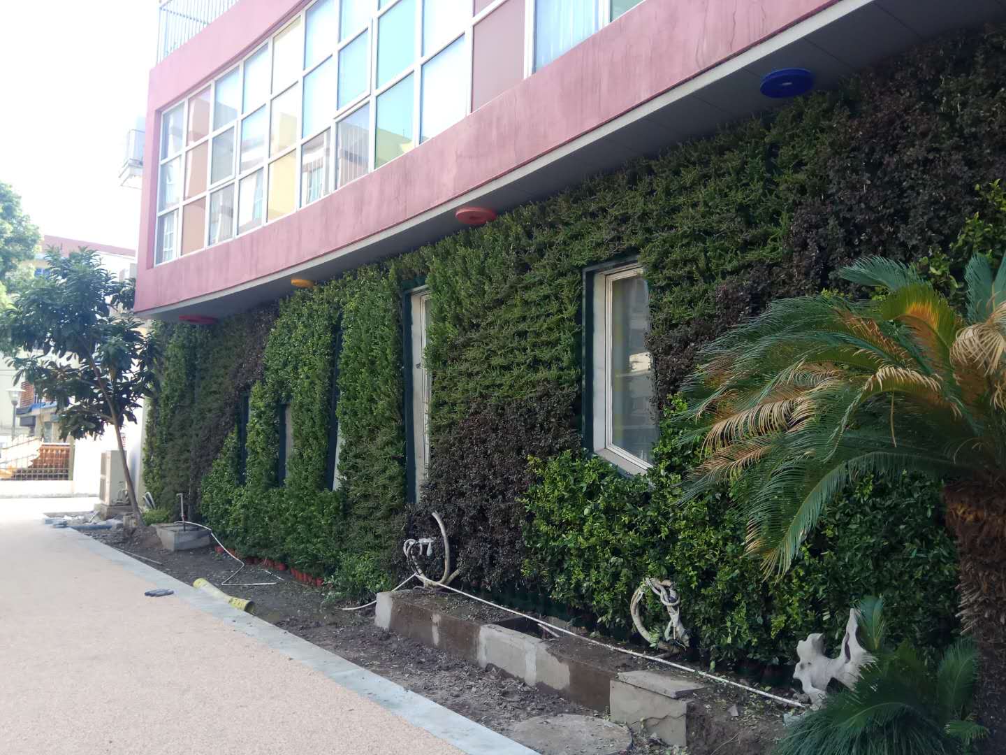 15540866103646711.jpg