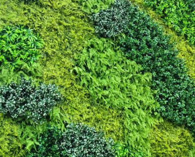 嘉佰道室外抗紫外线仿真植物墙