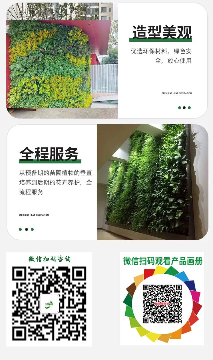 3_看图王(1).jpg