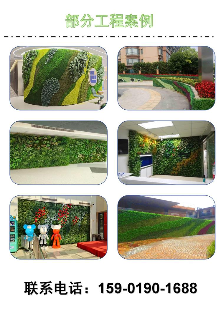 仿真植物墙案例_01.jpg