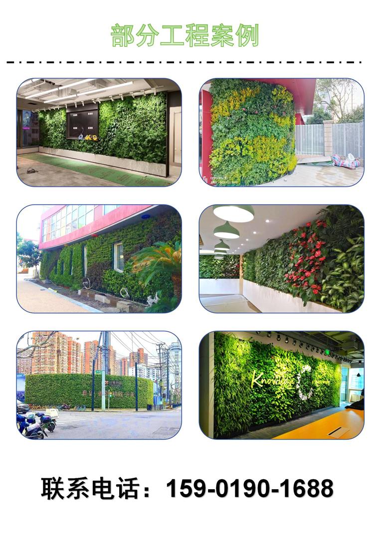 真植物墙案例_01 .jpg